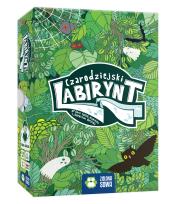 Okładka książki Czarodziejski labirynt