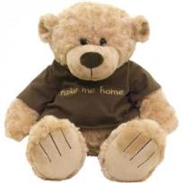 Opakowanie Miś Take Me Home 38 cm
