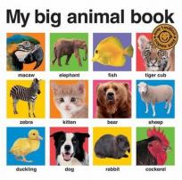 Okładka książki My Big Animal Book