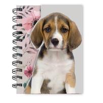 Opakowanie Notes na spirali A6 18-3630PS