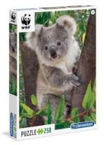 Okładka książki Puzzle 250 Baby Koala