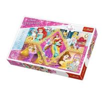 Opakowanie Puzzle Przygody księżniczek 160