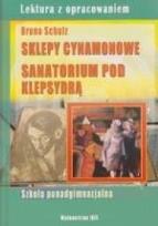 Okładka książki Sklepy cynamonowe. Sanatorium pod Klepsydrą IBIS