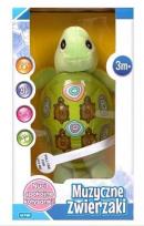 Opakowanie Zabawka Muzycznka - Żołwik