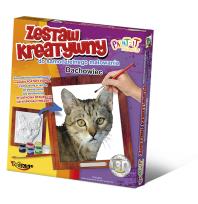 Okładka książki Zestaw Kreatywny do malowania - Dachowiec