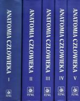 Opakowanie Anatomia człowieka 1-5