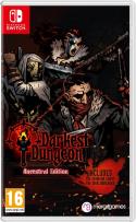 Opakowanie Darkest Dungeon Ancestral Edition NSW