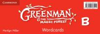 Okładka książki Greenman and the Magic Forest B Wordcards (Pack of 48)