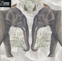 Opakowanie Karnet kwadrat z kopertą Indian Elephant