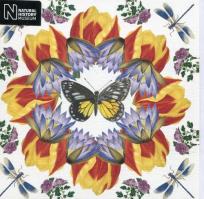 Opakowanie Karnet kwadrat z kopertą White Jezebel