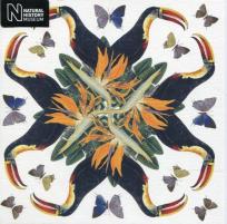 Opakowanie Karnet kwadrat z kopertą White-throated Toucan