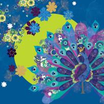 Opakowanie Karnet Swarovski kwadrat Paw