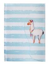 Opakowanie Notes A5/80K Lama