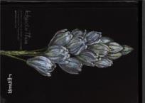 Opakowanie Notes szkicownik A6 Hiacynt