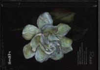 Opakowanie Notes szkicownik A6 Róża