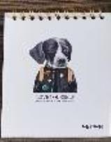 Opakowanie Notes szkicownik B5 Pies