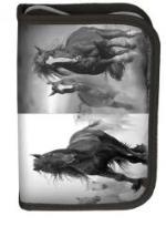 Opakowanie Piórnik Horse 17-001HO/B PASO