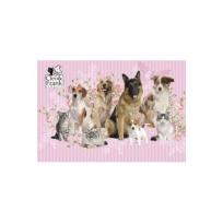 Opakowanie Podkład oklejany Cleo i Frank DERFORM