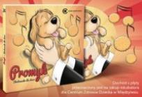 Okładka książki Promyk.Słuchowisko dla dzieci.  audiobook