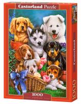 Opakowanie Puzzle 1000 Puppies