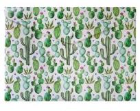 Opakowanie Teczka A4 Kaktus