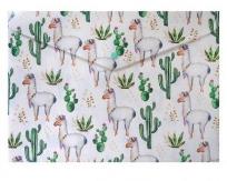 Opakowanie Teczka A4 Lama Kaktus