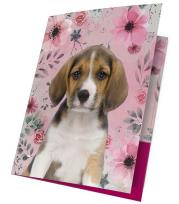 Opakowanie Teczka z gumką A4 18-109PS