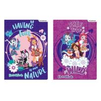 Opakowanie Teczka z gumką A4 Enchantimals 10 sztuk mix