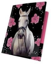 Opakowanie Teczka z gumką A4