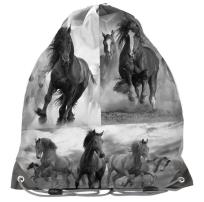 Opakowanie Worek na buty Horse 17-712HO PASO