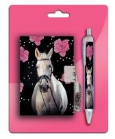 Opakowanie Zestaw Pamiętnik z długopisem 18-3643HR