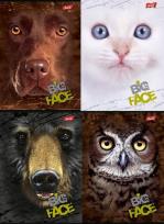 Opakowanie Zeszyt A5 w kratkę 80 kartek The Mountain 10 sztuk mix