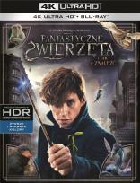 Okładka książki Fantastyczne zwierzęta i jak je.. (2 Blu-ray) 4K