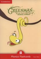 Okładka książki Greenman and the Magic Forest B Phonics Flashcards