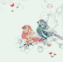 Opakowanie Karnet Swarovski kwadrat CL0504 Ptaszki