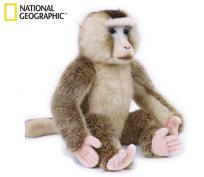 Opakowanie Makak orientalny