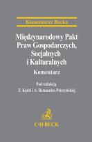 Okładka książki Międzynarodowy Pakt Praw Gospodarczych...