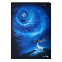 Opakowanie Notes B5/80K Renifer Pełnia