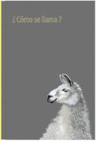 Opakowanie Notes Gee Llama 13,5x19,5 NARCISSUS