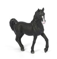 Opakowanie Ogier rasy Arabskiej