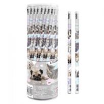 Opakowanie Ołówek z gumką psy i koty (48szt)