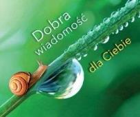 Okładka książki Perełka 288 Dobra wiadomość dla Ciebie