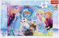 Opakowanie Puzzle 100 Kraina przyjaźni