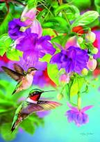 Opakowanie Puzzle 1000 Kolibry