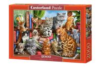 Opakowanie Puzzle 2000 House of Cats