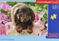 Opakowanie Puzzle 260 Cute Daschshund
