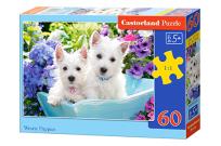 Opakowanie Puzzle 60 Westie Puppies CASTOR