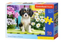 Opakowanie Puzzle 70 Spaniel in flowers CASTOR