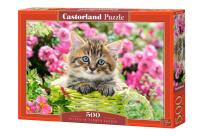 Opakowanie Puzzle Kitten In Flower Garden 500