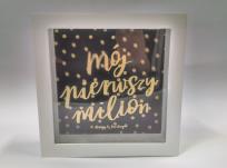 Okładka książki Skarbonka Home mój pierwszy milion